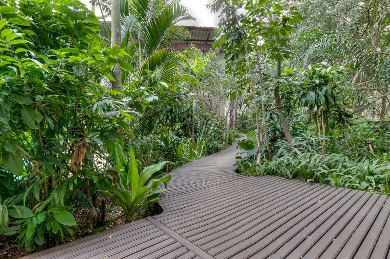 Forest Lodge Saint Lucia Estuary Esterno foto